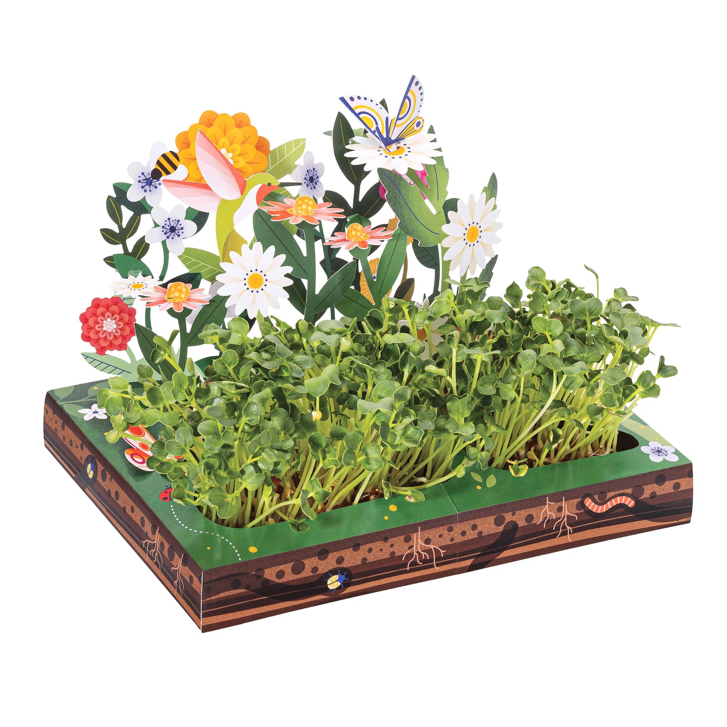 Pollinator Habitat Microgreens Pop Up